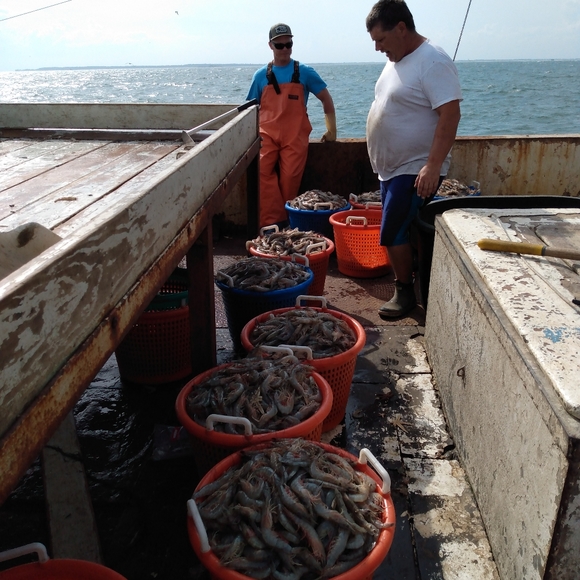 my heart - Picture 3 of 6